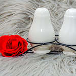 Salt and pepper shkers