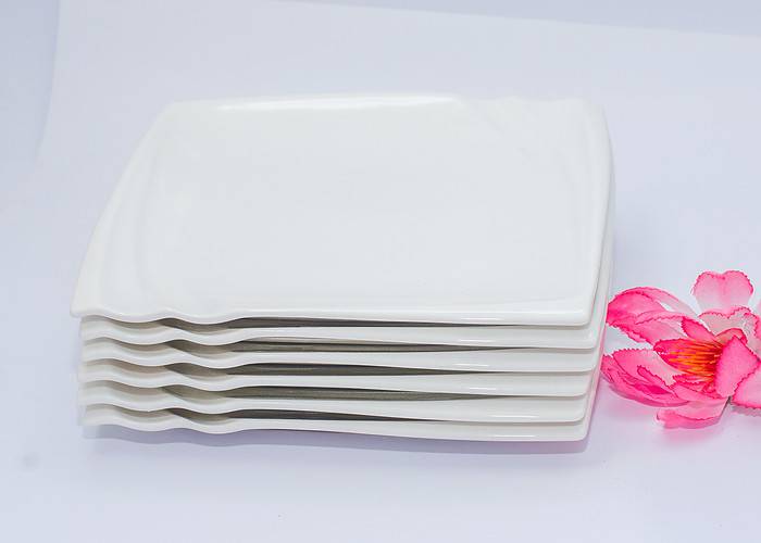 White Porcelain dinner plate