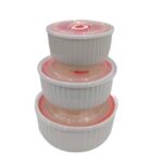 Microwave porcelain bowls