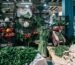 assorted vegetables kept in boxes in market warehouse