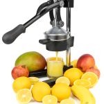 Industrial Manual Juicer – Heavy-Duty, Pro-Grade Extractor