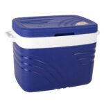 Sacvin Food Cooler or Warmer - Green, Blue, Red, 55L, 45L, 35L for Homes, Hotels, and Restaurants